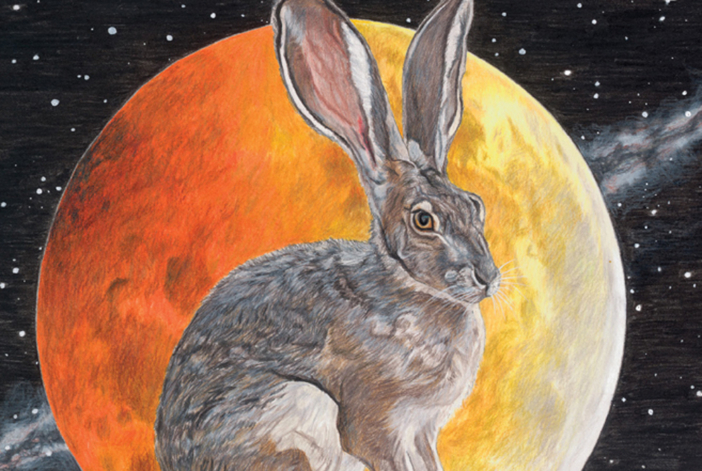 REVIEW: Sufjan Stevens and Osso – Run Rabbit&nbsp;Run