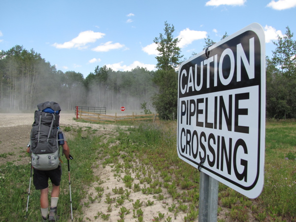 VIFF: Launching local&nbsp;eco-docs