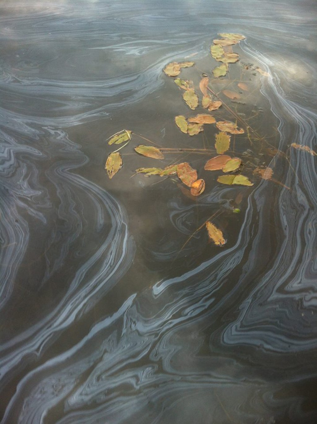 ‘I was a PR campaign’: oil cleanup&nbsp;worker